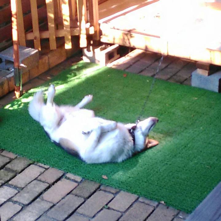 20878dd9 6c7b 4ed5 bcb0 549c50efc748