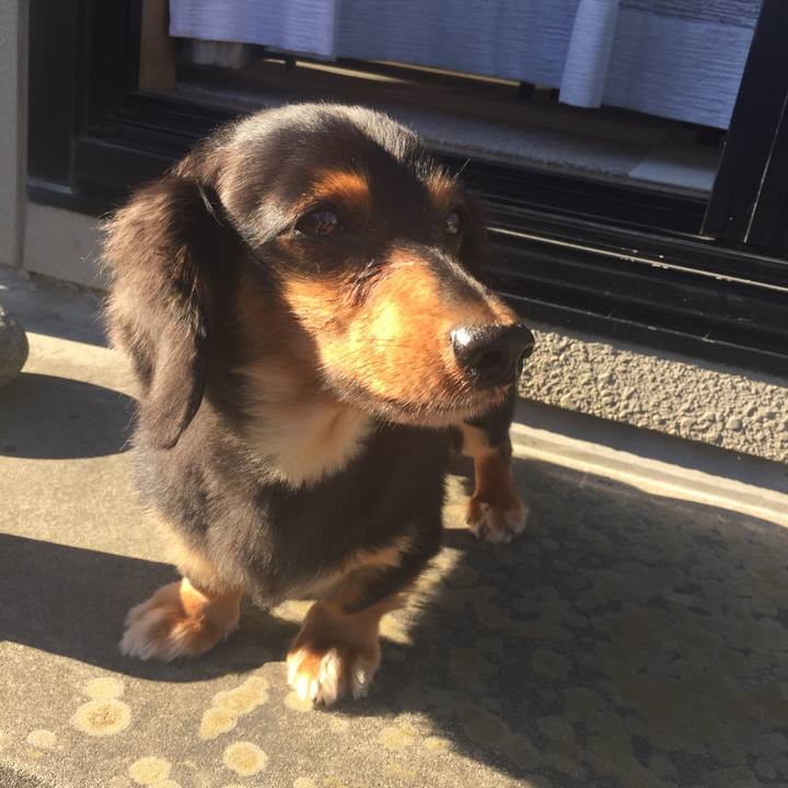 2087940b 9c43 45c3 ad98 4196d1f9253d