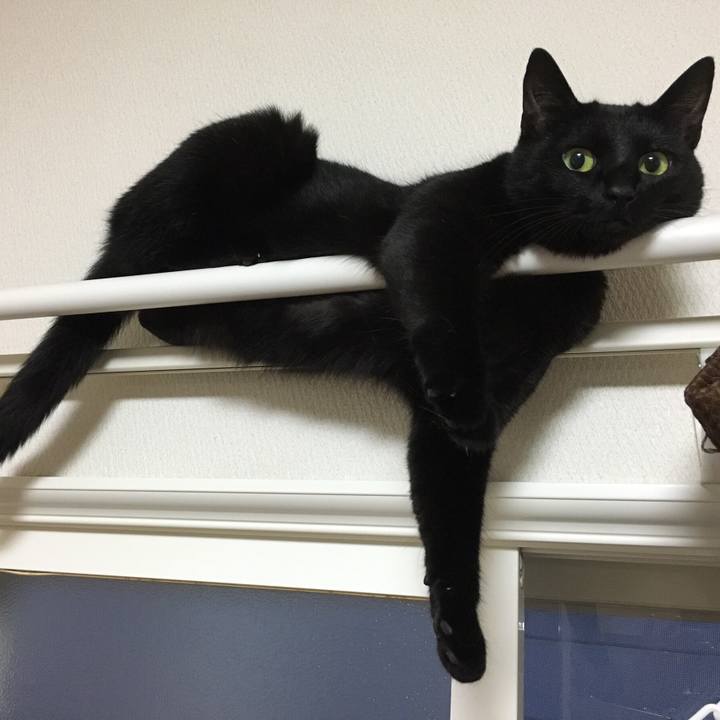 2087b050 b4d5 49f0 aef1 6b0b8f34a53e