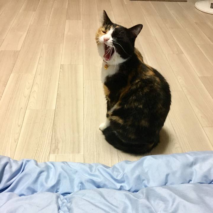 20894235 4bbf 45d3 96fd 1396a20d35c7