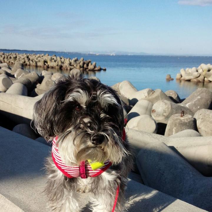 2089b187 ec1c 47d8 9f5e 5cc26b2b690d