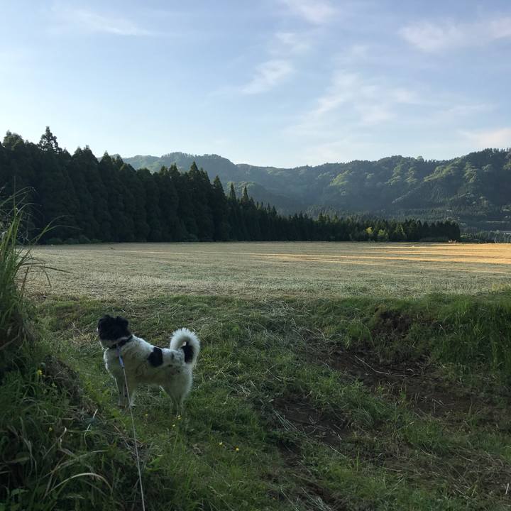 208ab06d 8dcf 4a9a 8673 b090b351aa6c