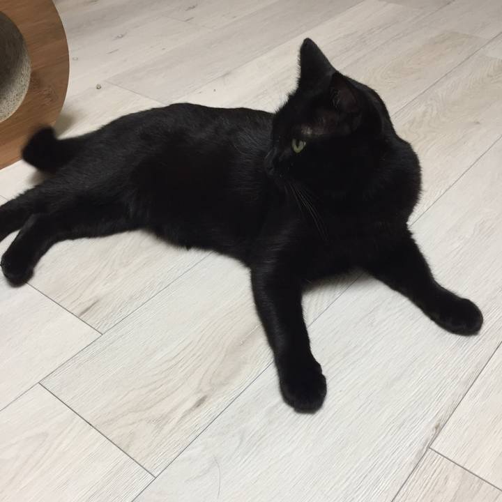 208b1ec3 9fa2 4c19 912f 9a7fc2d94209