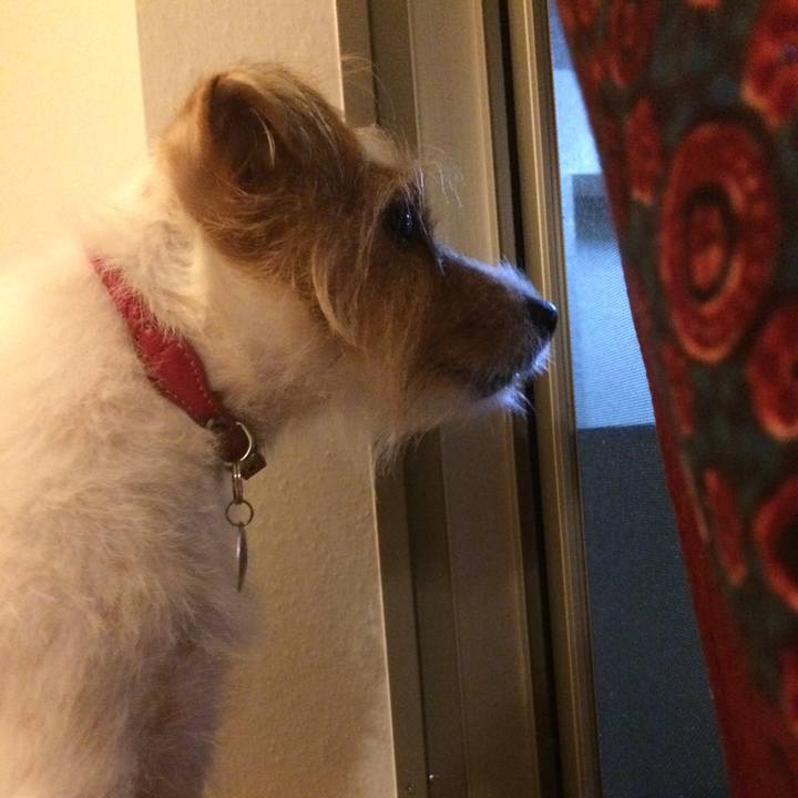 208b1f26 cefc 4bc4 8325 e796bb270ac3