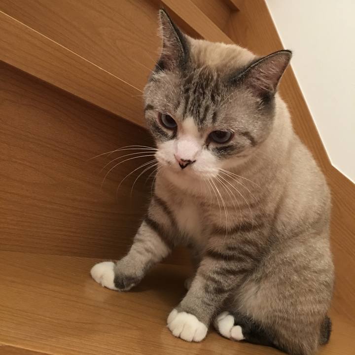 208b5054 caa8 4448 b31f dca59c229d7a