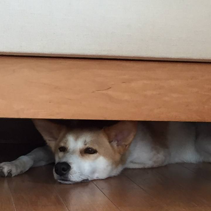 208b793e f7fe 41da a277 96559de3ffde