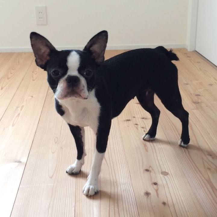 208b8e47 2fb8 4052 900a 1a06a10c8780