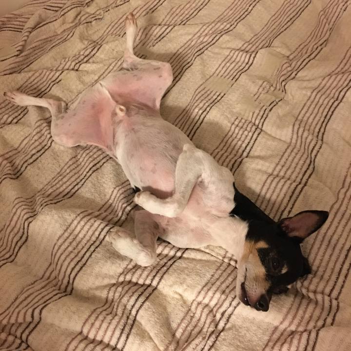 208d12b9 db5e 4684 a535 b011d462e3f3