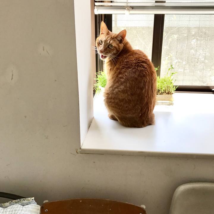 208d5689 d54a 46d0 a91f a3373f756953