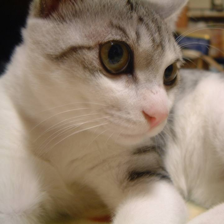 208dc5fa 9f45 4626 840f bc93483cb654