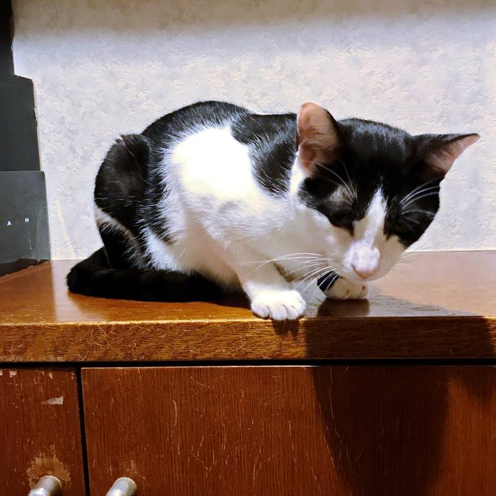 208e2b74 f728 44ed a5ea bb3add135d28