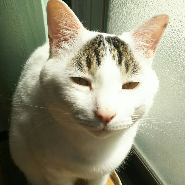 208e474e 5ebd 4e2c b89a ba132539113e