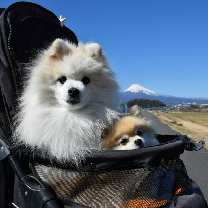 208e4a4f 763e 4973 8c82 c45149620f3d