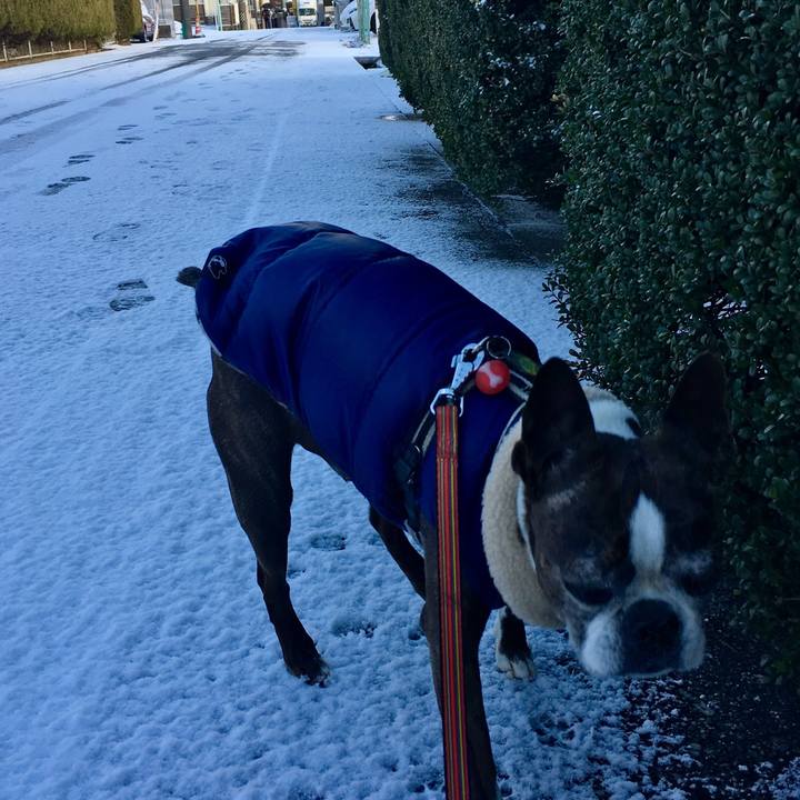 208ecb86 859f 4bf6 84fe 95bbce09938e