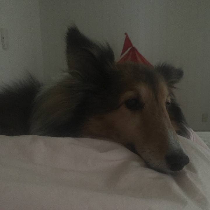 208f12a5 9ecf 4216 b8c6 8be4124b8c32