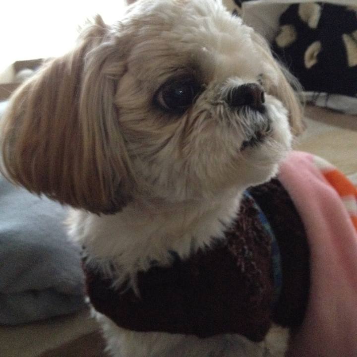 208f1910 16d8 4851 b002 2c156dba5810