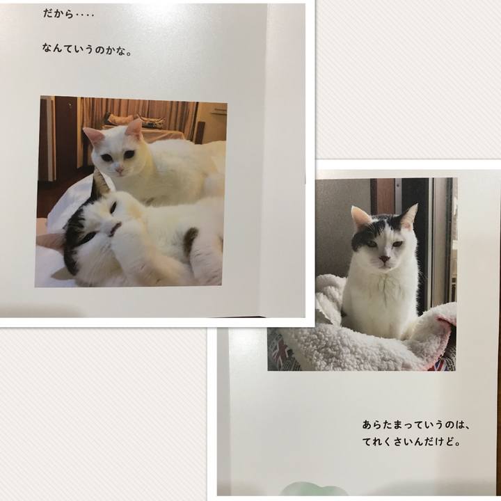 209003fd 4b50 4f61 a9d9 154ebadbe4c3