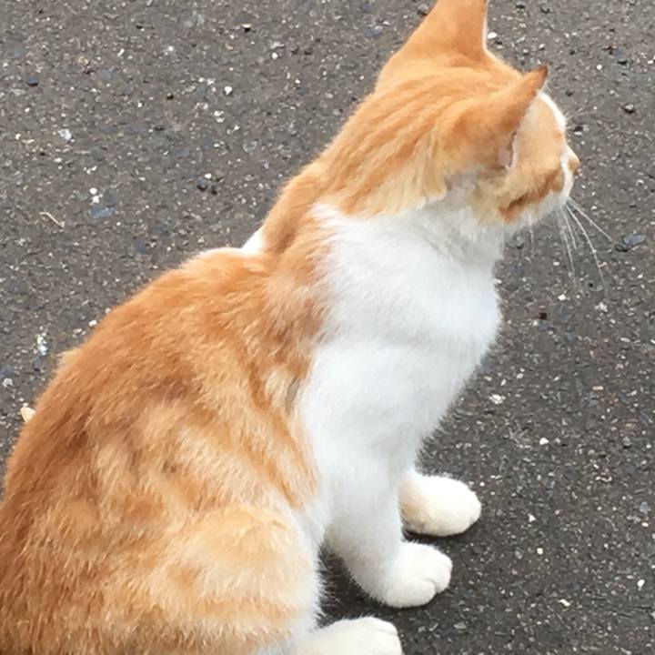 209006a9 5217 454e a60d 401e9e6b53a6