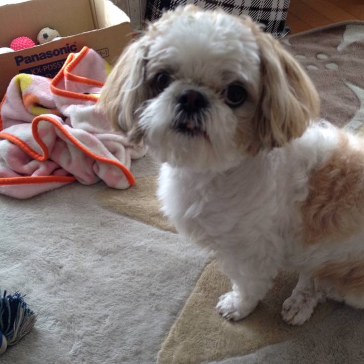 20908a74 f8d0 4844 81a2 92e9790bf817