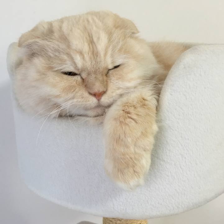 20912069 ac04 43cd 9ed9 105aec192a4c