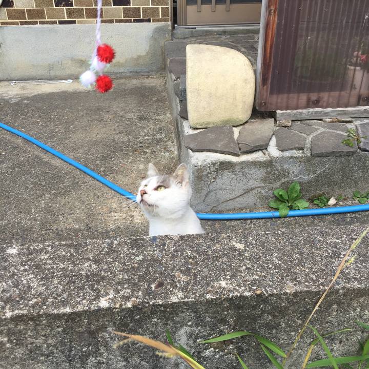 20918ee0 7954 4afe 9a5d e206e6797b0b