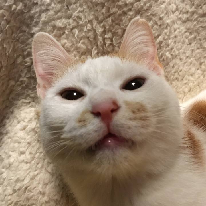 2091b150 e0cb 46c1 81ec cc27f87c566b