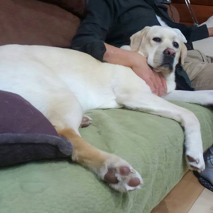 2091c65a 0254 44cf b0c9 dbd66ee50d8c