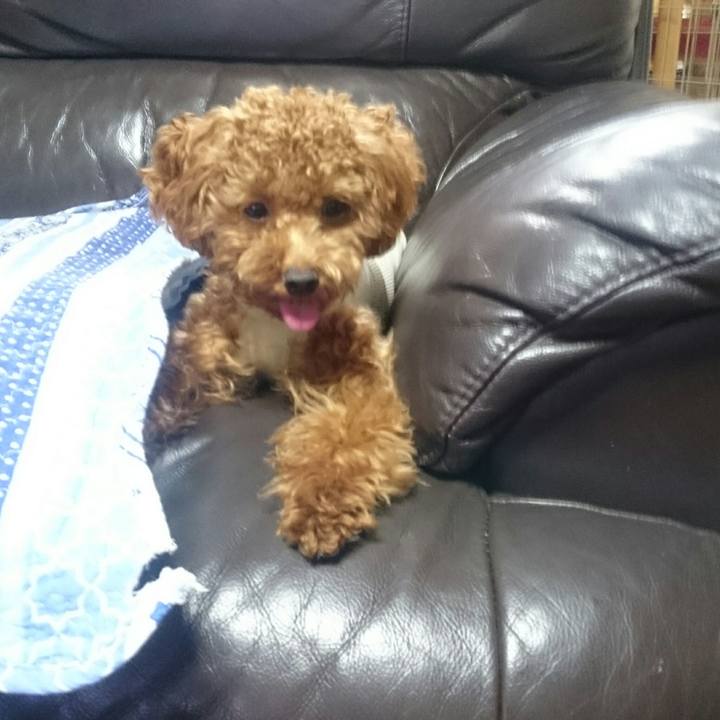 2092bee8 dbd0 4ca9 b52b b2b9d73b852f