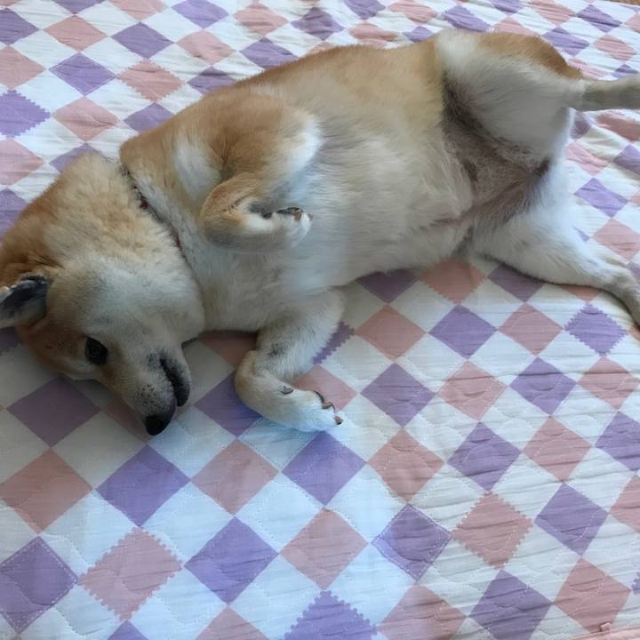 209335b8 7bdc 4956 8c8a 8e18b470192e