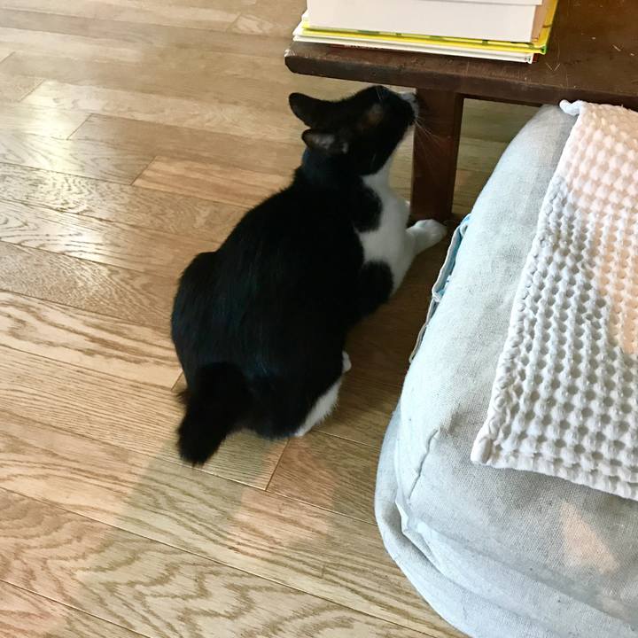 209338bd 7638 4298 b88d b767b7b1a126