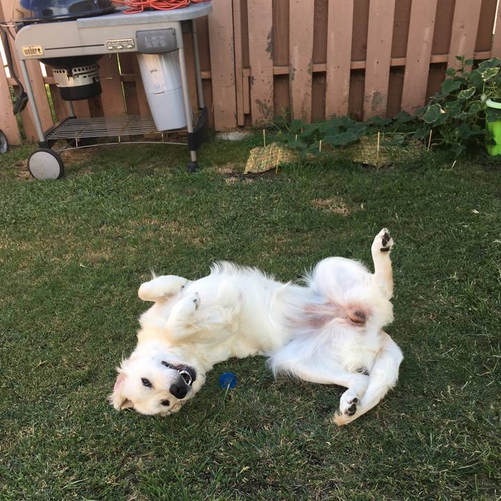 20935dbf ca8d 4a9f 9404 f0d7c7833b63