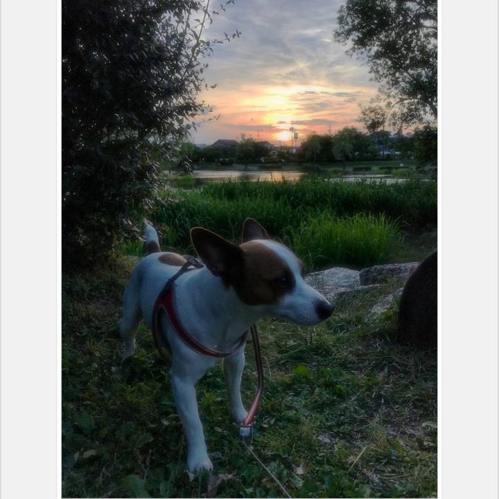 209455ff 8b55 4132 ab44 39f3e4066e9e