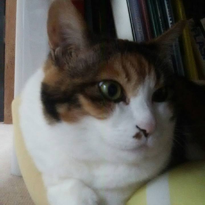 20948f97 2d72 4935 873e da2b6805738e