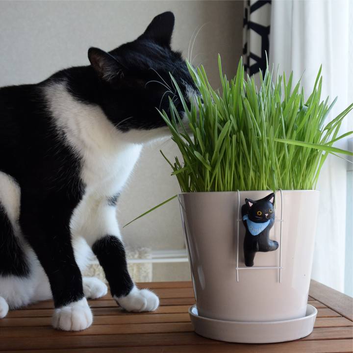 20953b24 094a 47cc 8591 acb2ee4cddb2