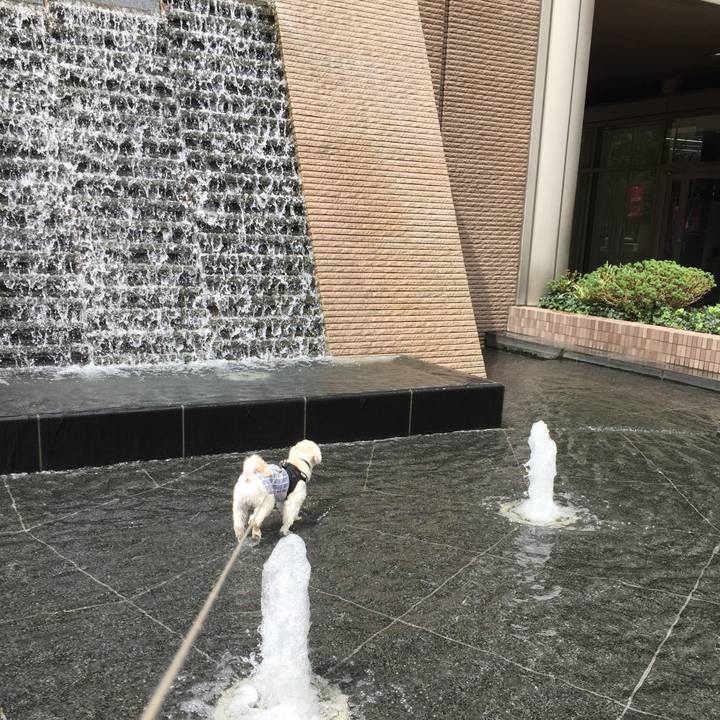 20954db1 7649 4cf5 8363 64f22c71dad5