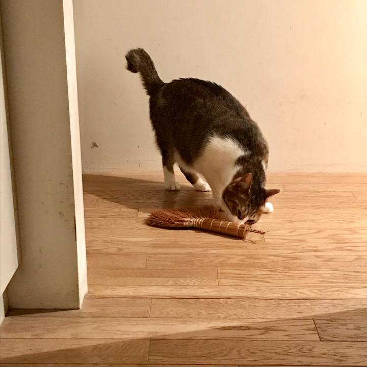 209629b8 ff99 4242 b029 af0df72e5ccf