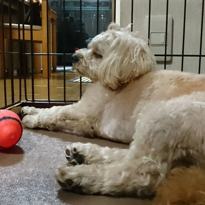 2096db9e 9e76 4b8b bd9b f15a25af9039