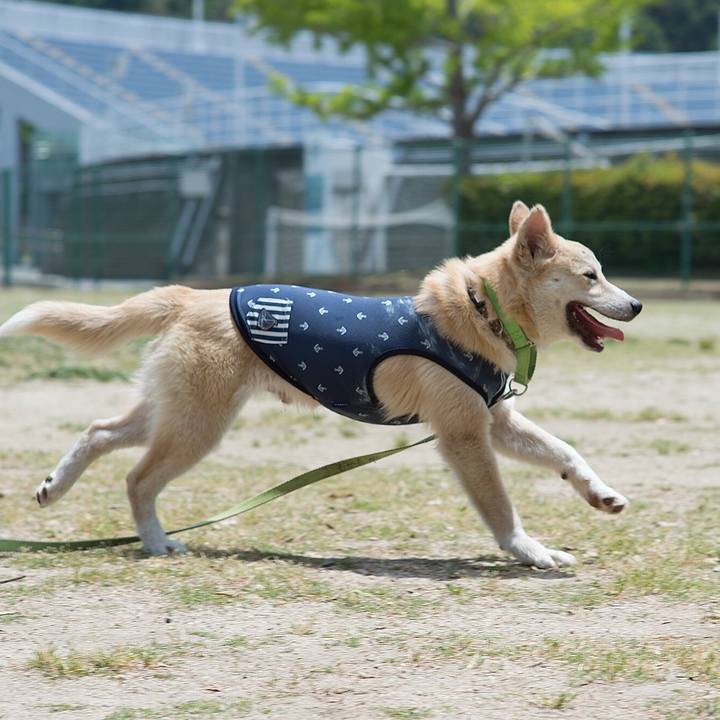 2096e2bb 97db 4ca4 b805 f9208fcd3a3d