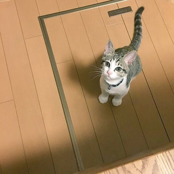 209772a8 0af8 4e6e 9e44 a4c0db65c104