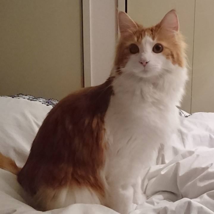 2097f822 c5fa 45a3 9a2b 53e809cb506b