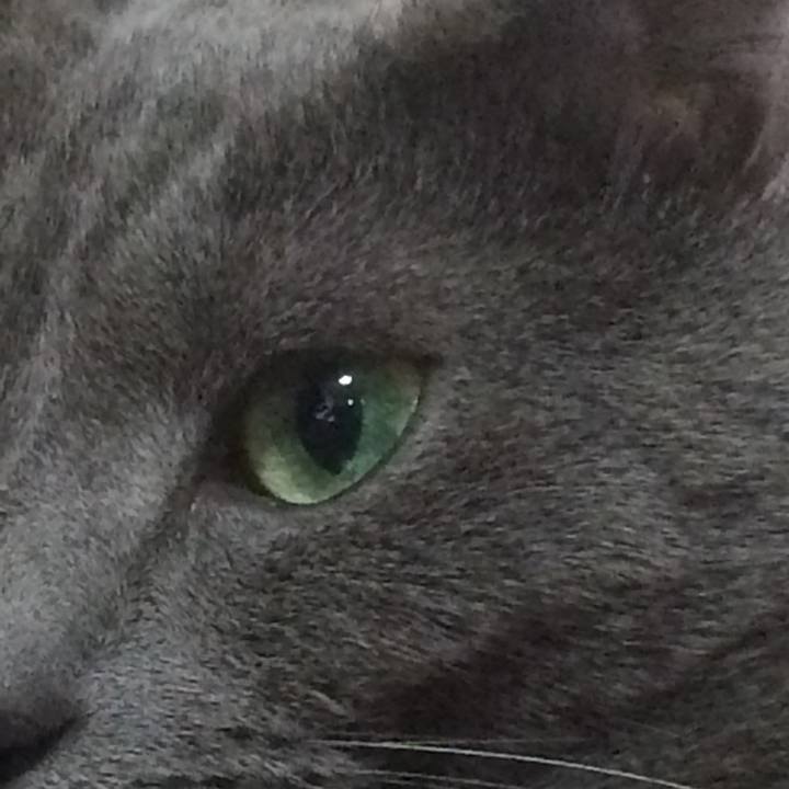 2098af15 d537 41e2 a758 aa3f32a1b11f