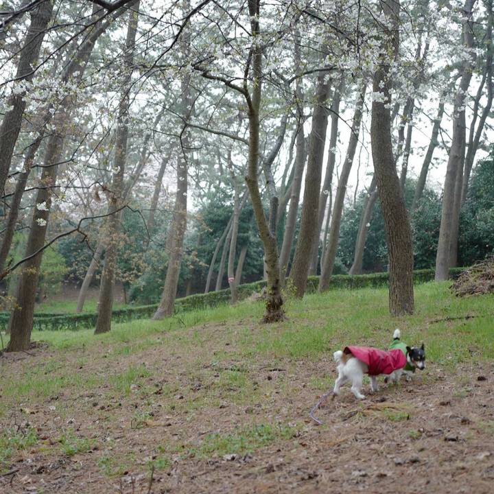 209afca7 b08a 40a2 b640 7573b3ba5985