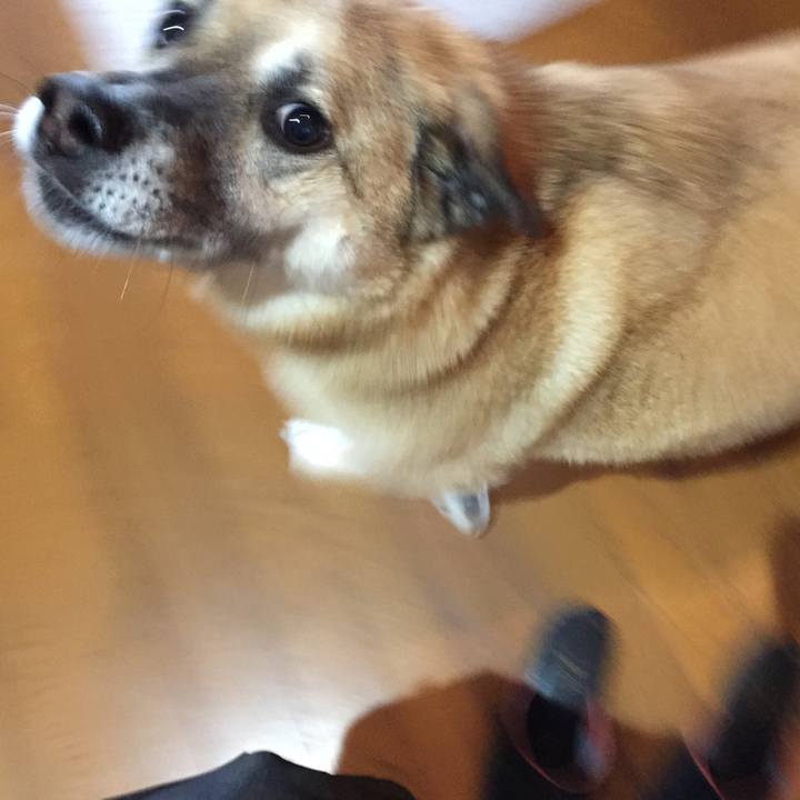 209afe14 f86c 4772 88c9 8c0ee2e52146