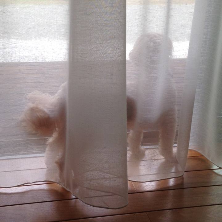 209ba908 06a0 4563 aa20 9d24ca384604