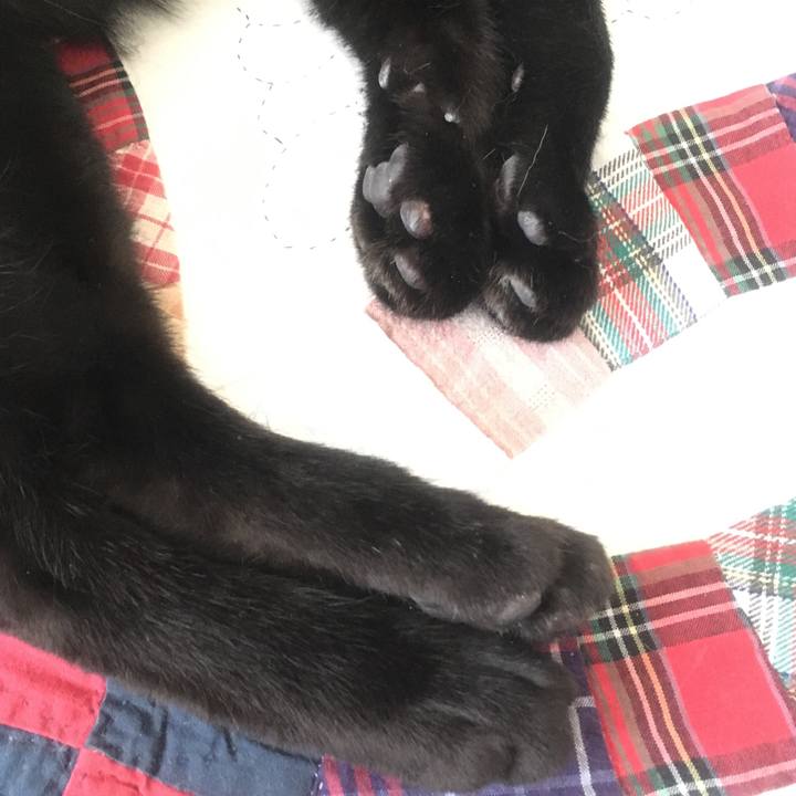 209bb527 2f9e 482d b110 617e7507c358