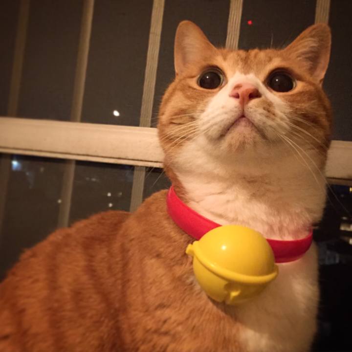 209c77e6 7f04 4db3 bc25 9088dab426ca