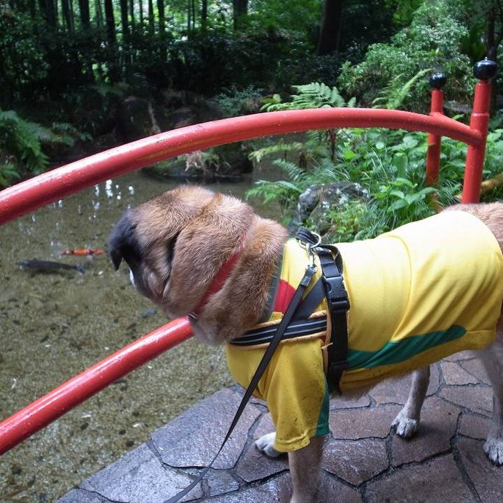 209ca2d5 c4eb 40c5 b2dc ebe1ed6a8663