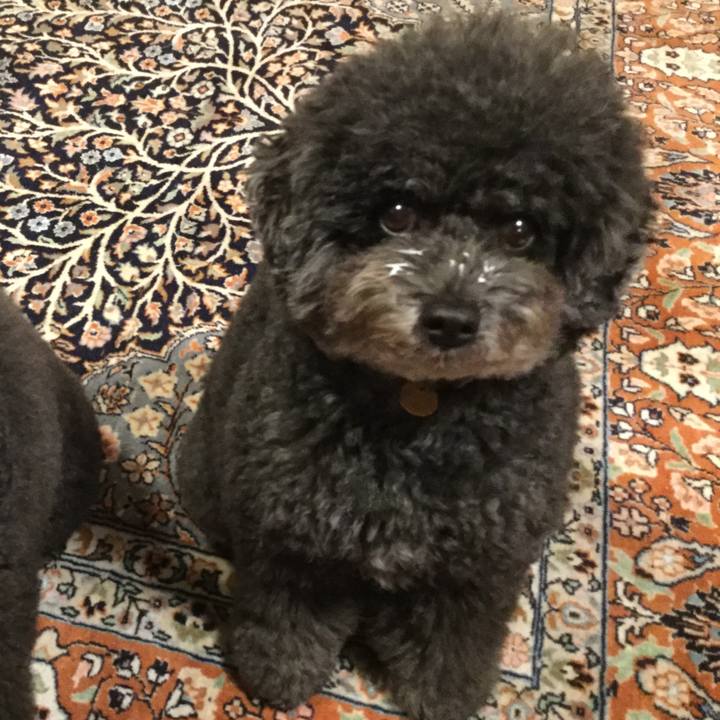 209ce4fa 9dc7 4e78 af72 9938e8e3e37e