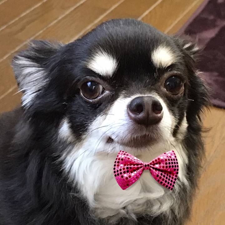 209d2de9 56da 459e afb8 6b8676430f20