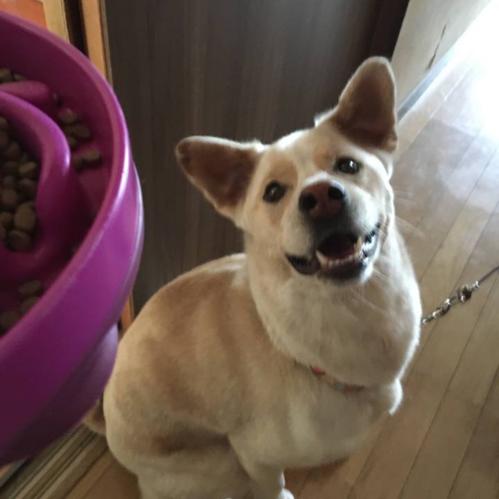 209d55a7 b117 43b5 8f13 e3c0d96b8b90